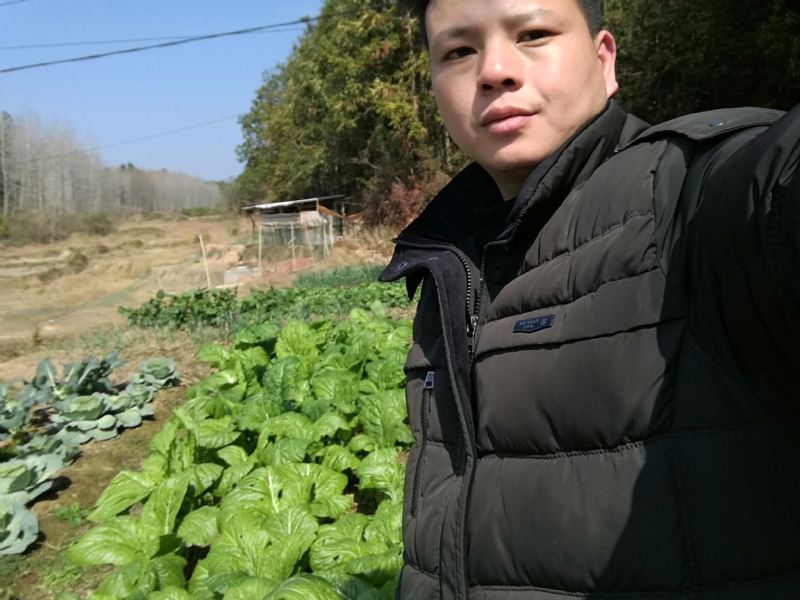 倔强的驴的第一张照片--苏州闪婚服务中心